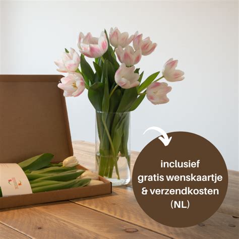 Tulpenpost (@tulpenpost.nl) • Instagram photos and videos.